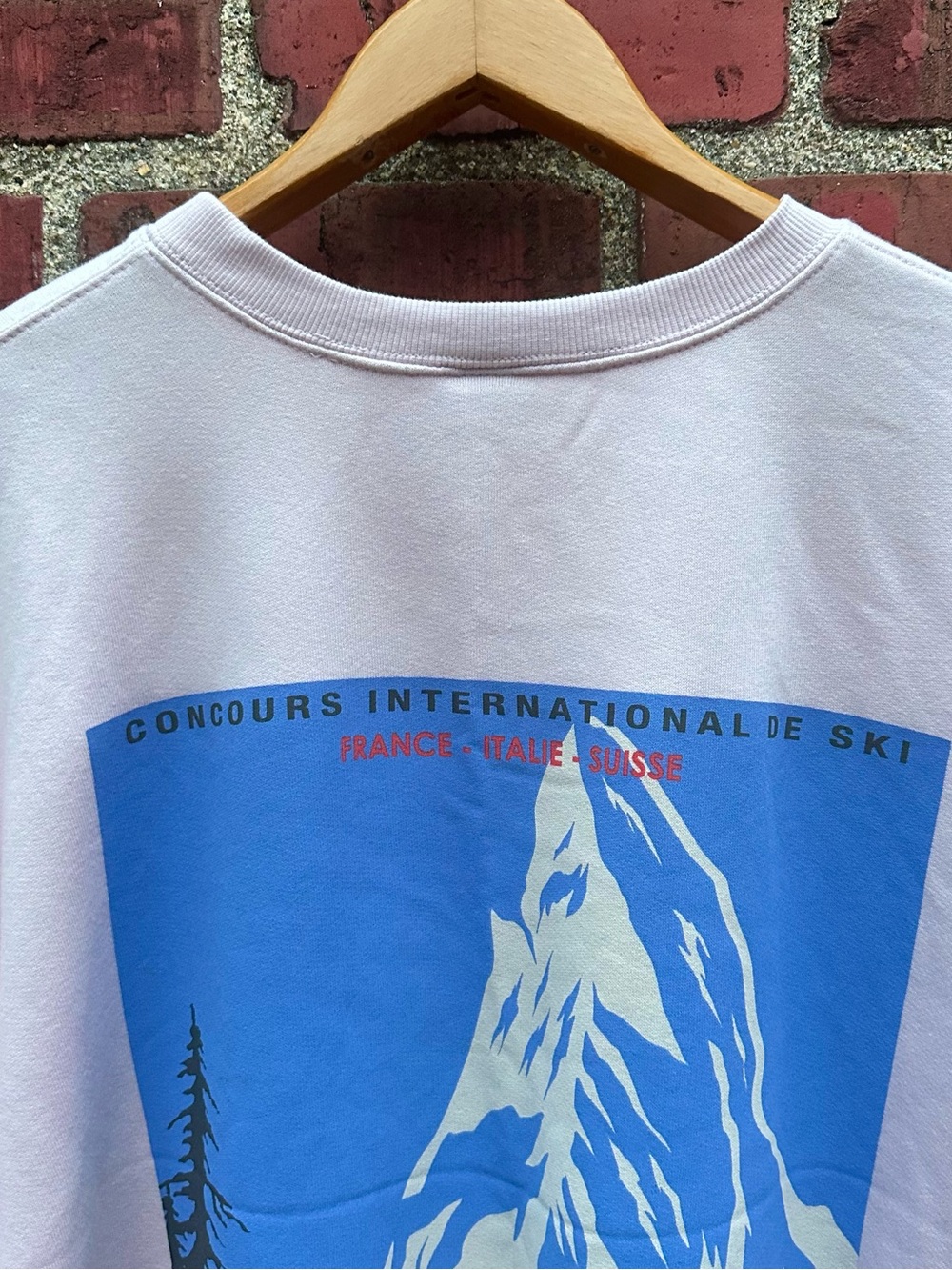 Wild Fable Le Montblanc Pink Sweatshirt XL Ski Mountain Chamonix Mont Blanc NWT - Picture 10 of 13